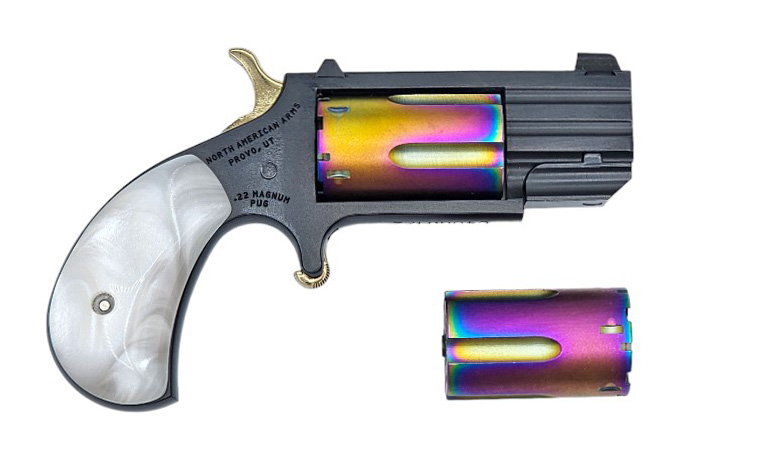 NAA THE UGLY 22LR/22MAG 5 SHOT 1 IN BARREL - Taurus Savings